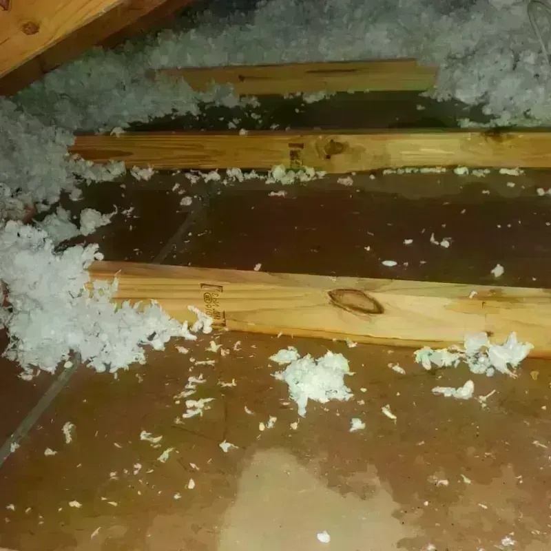 Attic Water Damage in Sea Ranch, CA